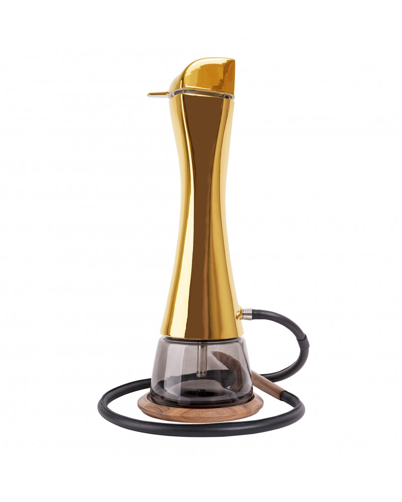 HOA SHISHA ARISTO AUREA ATER