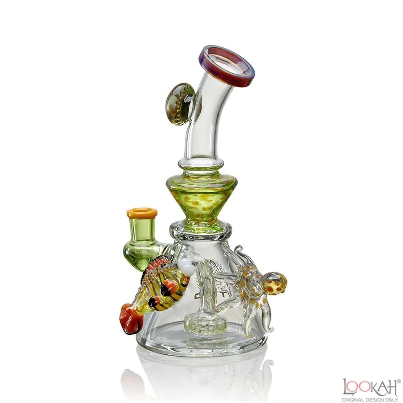 GPA: C13 LOOKAH WP TATTAOO