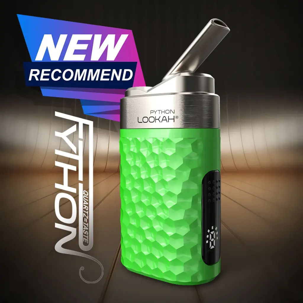 ELA PYTON PN-GR LOOKAH